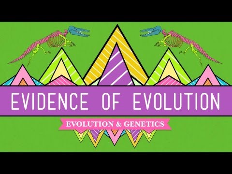 Thumbnail for the embedded element "Evolution: It's a Thing - Crash Course Biology #20"