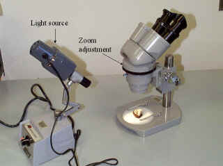 dissecting_scope2_small.jpg