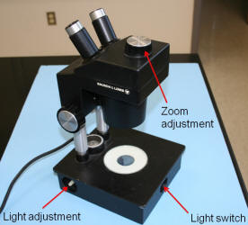 dissecting_scope3_small.jpg
