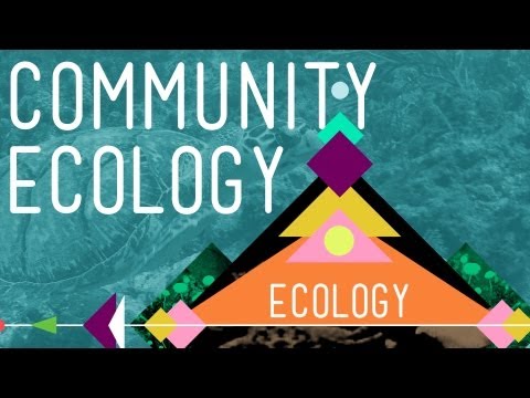 Thumbnail for the embedded element "Community Ecology: Feel the Love - Crash Course Ecology #4"