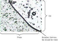 oil_and_water_40X_small.jpg