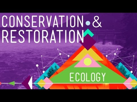 Thumbnail for the embedded element "Conservation and Restoration Ecology: Crash Course Ecology #12"