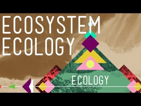 Thumbnail for the embedded element "Ecosystem Ecology: Links in the Chain - Crash Course Ecology #7"