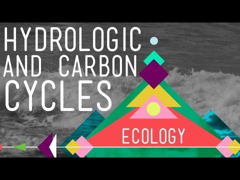 Thumbnail for the embedded element "The Hydrologic and Carbon Cycles: Always Recycle! - Crash Course Ecology #8"