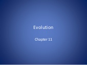 Thumbnail for the embedded element "#11 evolution"