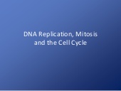 Thumbnail for the embedded element "DNA Replication, Mitosis, meiosis, and the Cell Cycle"