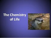 Thumbnail for the embedded element "2. chemical foundation of life, bio 101 fall 2014"