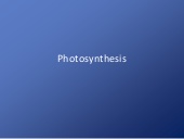 Thumbnail for the embedded element "Photosynthesis Updated"
