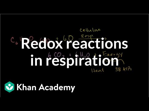 Thumbnail for the embedded element "Oxidation and reduction in cellular respiration | Biology | Khan Academy"