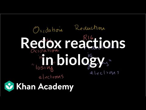 Thumbnail for the embedded element "Oxidation and reduction review from biological point-of-view | Biomolecules | MCAT | Khan Academy"