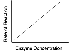 rennin enzyme experiment