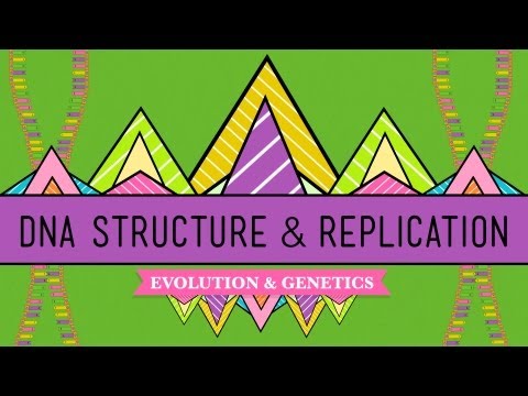 Thumbnail for the embedded element "DNA Structure and Replication: Crash Course Biology #10"
