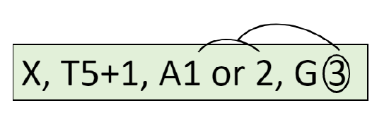 Orchidaceae floral formula: X, T5+1, A1 or 2, G3. The 3 is circled and is connected by a line to the "1 or 2" 