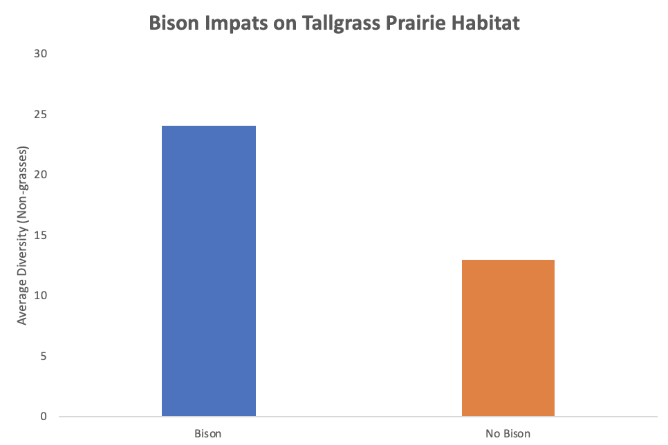 Richness in the tall-grass praririe with and without bison.