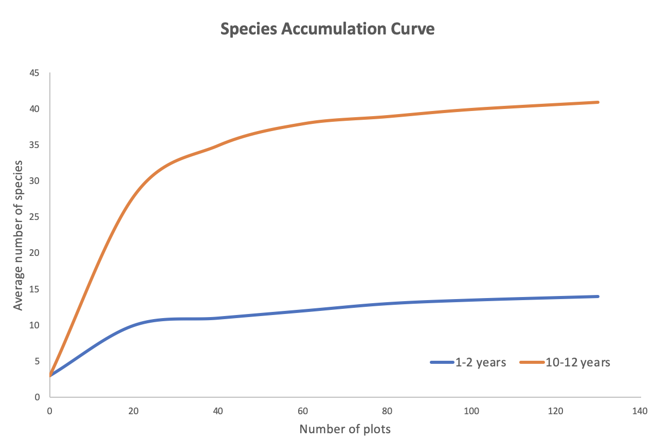 Gráfico lineal que muestra el número de especies presentes (en una curva de acumulación) 1-2 años y 10-12 años después de la introducción de castores.