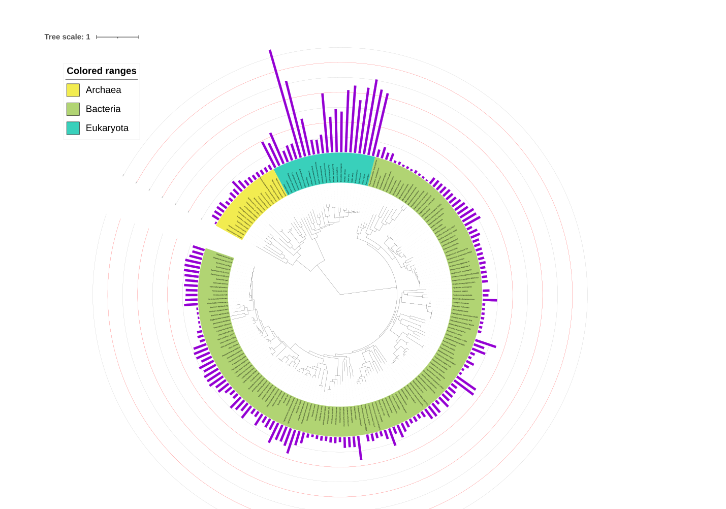 A circular, unrooted representation of organisms. Most of them are Bacteria. Archaea and Eukarya are represented as sister taxa.