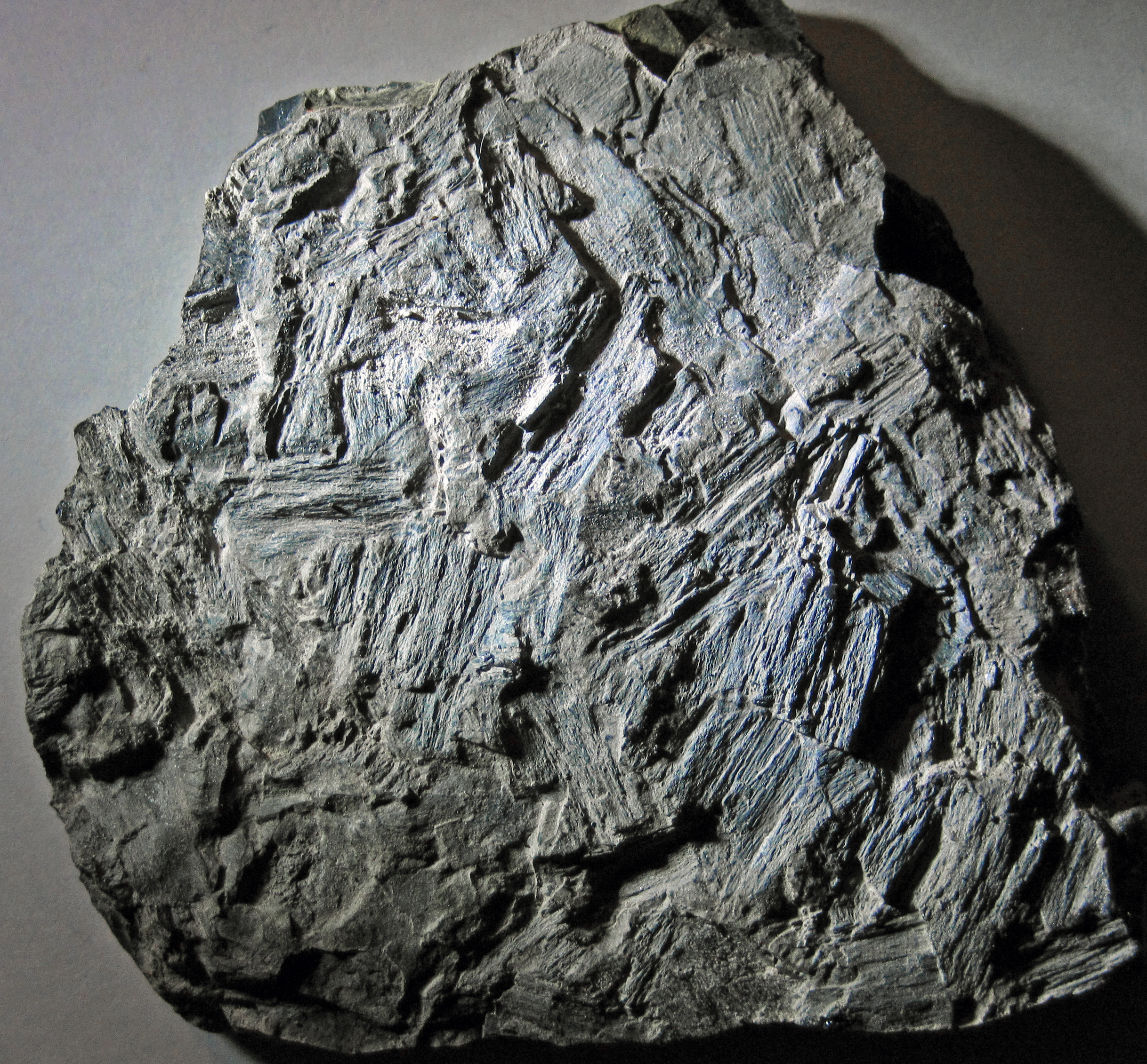 Fossil charcoal in weathered coal