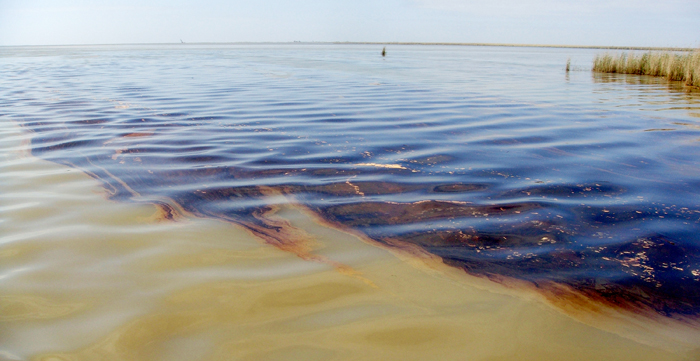 Image result for oil spills
