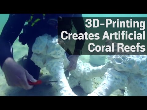 Thumbnail for the embedded element "3D-Printing Creates Artificial Coral Reefs"