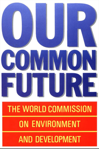 Cover of Our Common Future Book
