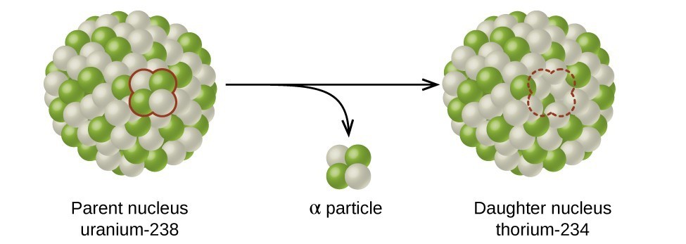 The nucleus of U-238, consisting of many protons and neutrons decays to Th-235 by releasing two protons and two neutrons.