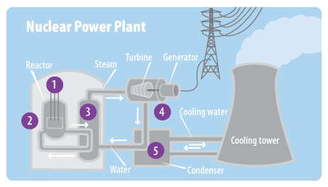 Section of nuclear power plant with five steps labeled