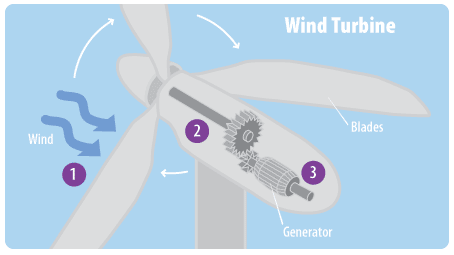 Diagram of the inside of a wind turbine, showing wind turning rotor blades, which powers a generator