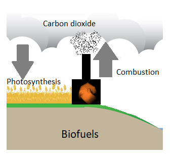 A farm produces biofuels that are burned. The process is carbon neutral, both removing and adding carbon dioxide to the atmosphere.