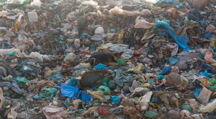 Um depósito aberto composto por sacos plásticos e outros tipos de lixo