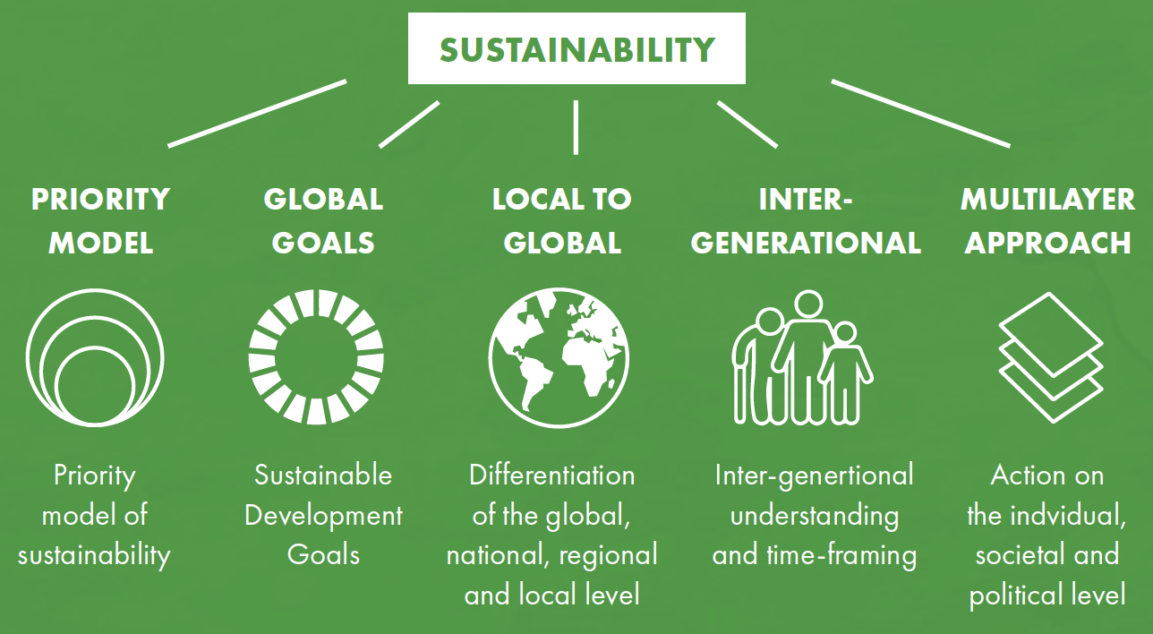 Goals for sustainability based priority, scale, focus on timelines, and approach