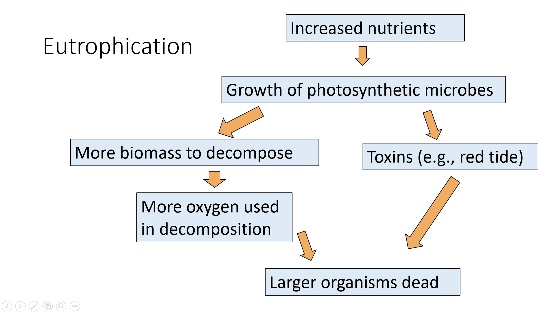 A flow chart of eutrophication.