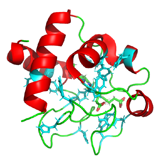 cytochromeCFold_5TY3.png