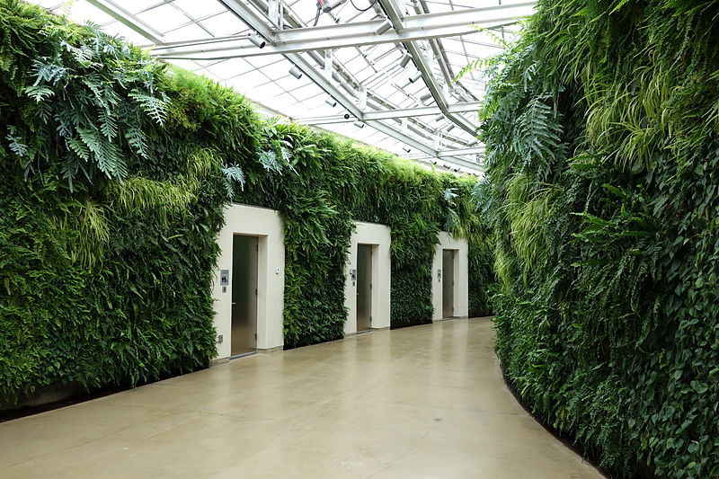Figure 1.2 Image of interior vertical gardens vegetated with tropical plants