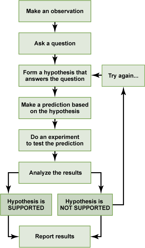 A flow chart with the steps in the scientific method.