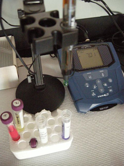 pH meter and electrode