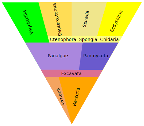 3.10: Animalia- Body Plans, Phyla And Classes - Biology LibreTexts