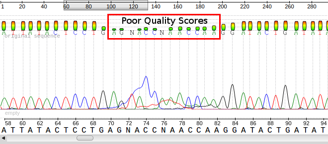 Sequencing Quality