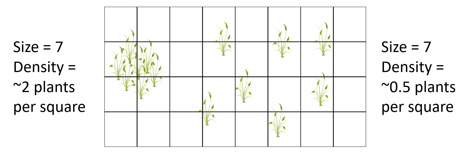 Una cuadrícula que muestra dos poblaciones de plantas, cada una con siete individuos, pero las plantas de la población de la derecha están más juntas.