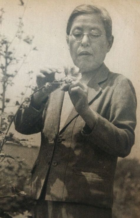 Yasui Kono examining a flower
