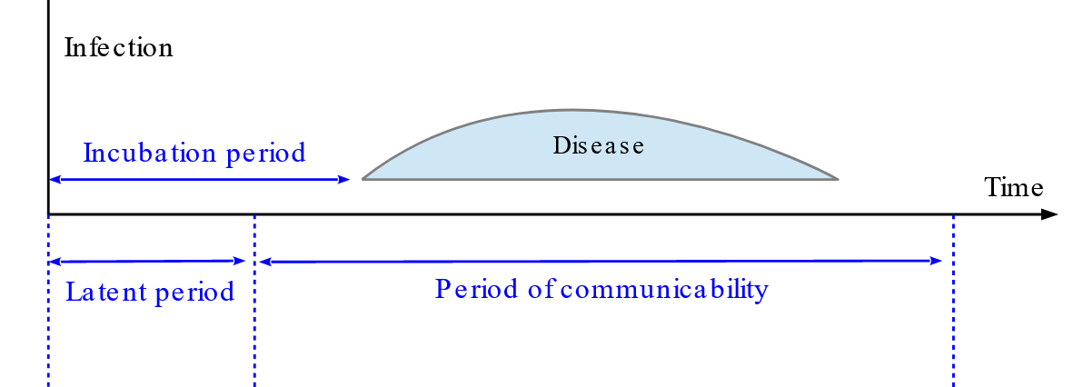 gráfico conceptual del período de incubación de bacterias