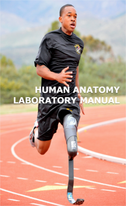 Human Anatomy Laboratory Manual (Hartline)