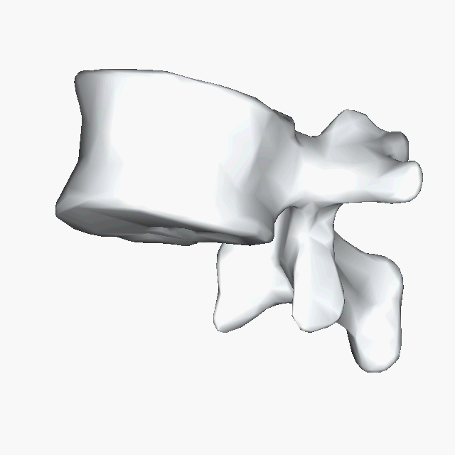 Rotating vertebra