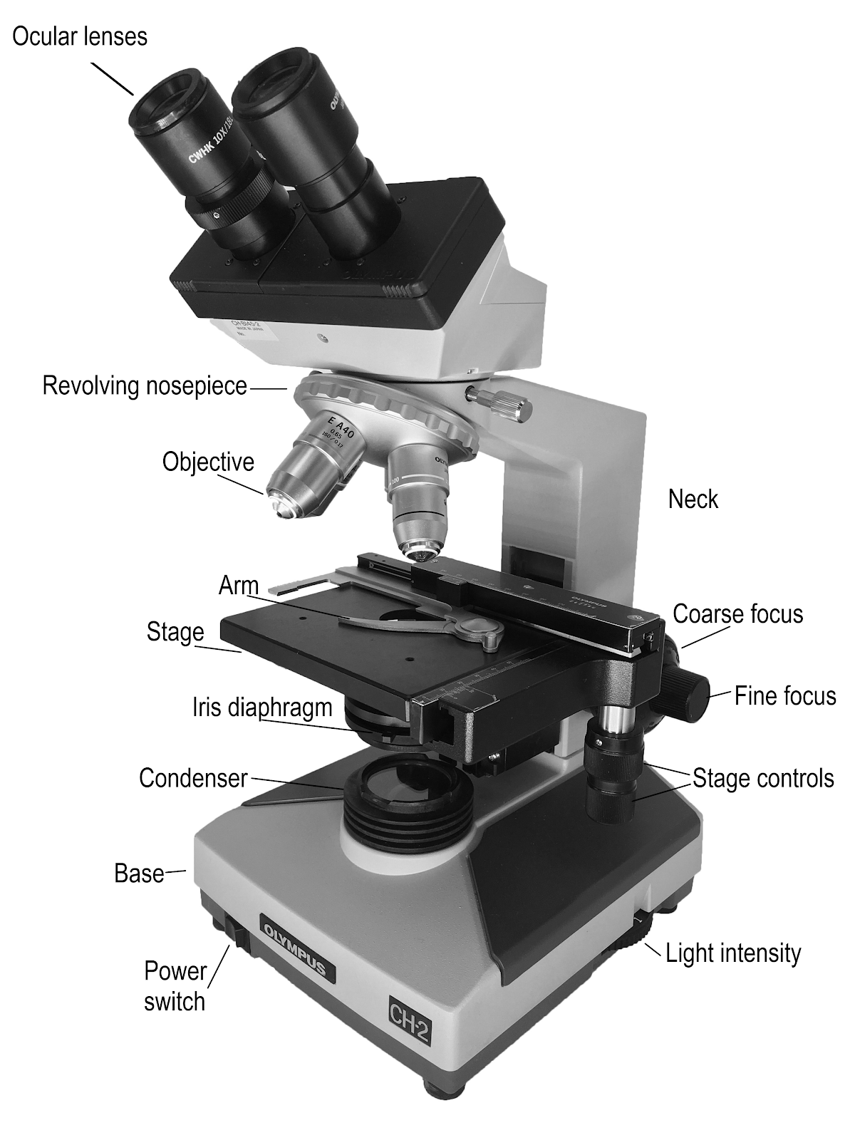 Un microscopio compuesto
