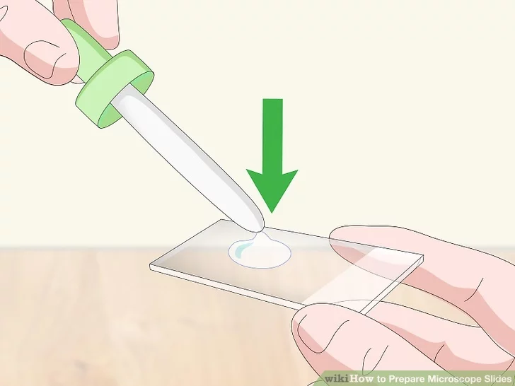 A dropper is used to add a drop of liquid to the center of a slide