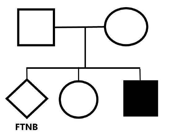 Unfilled square and circle in top row, second row unfilled diamond, unfilled circle, filled square
