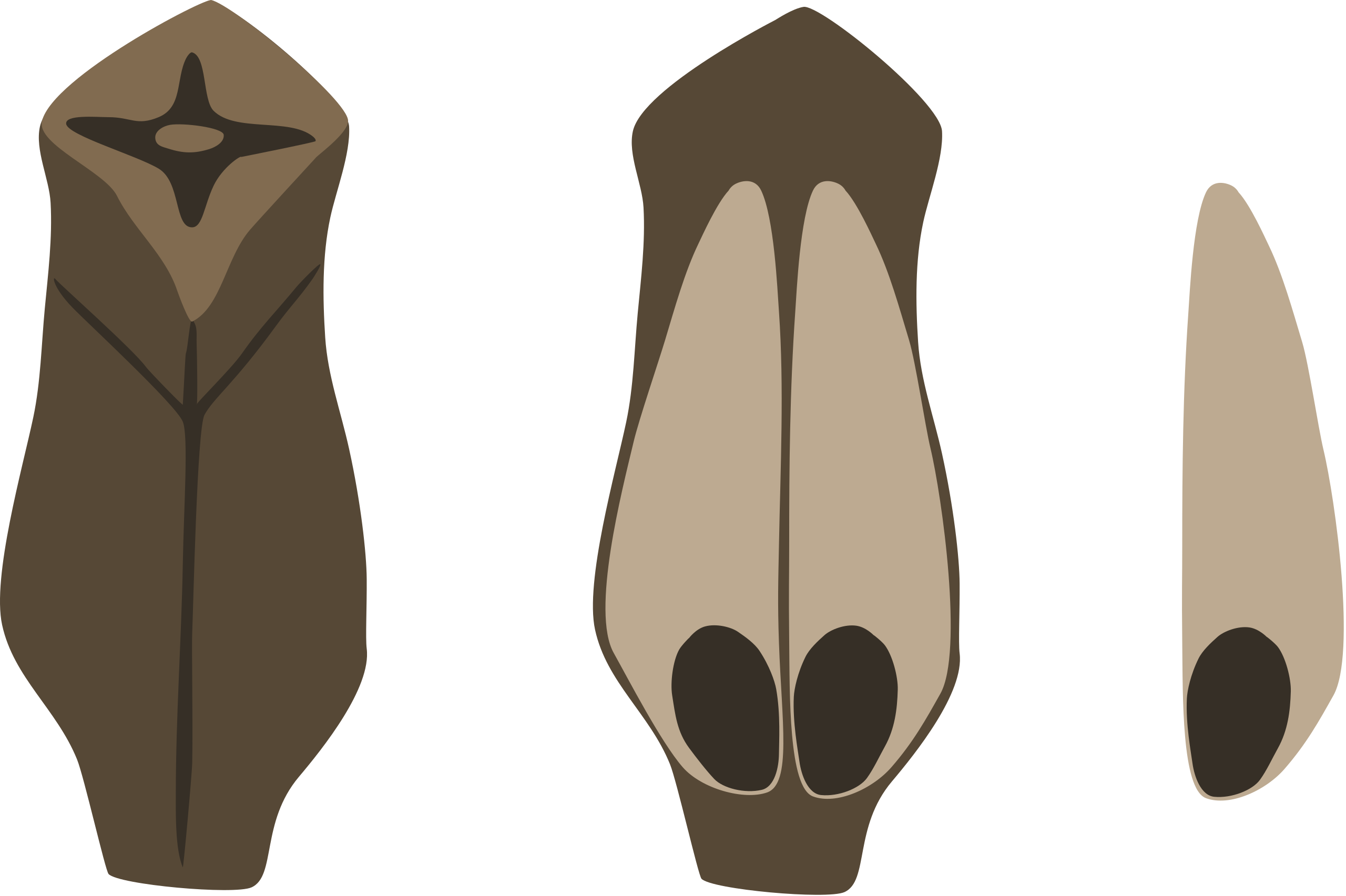 Una escama ovífera con dos semillas aladas