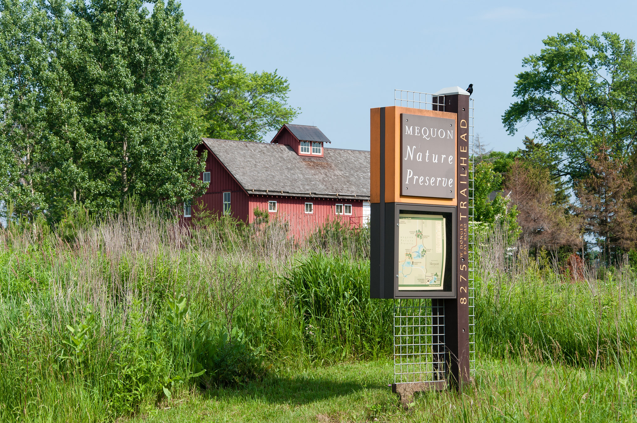 The Mequon Nature Preserve trailhead in front wildflowers and a barn