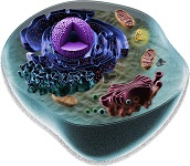 mindtouch.page#thumbnail