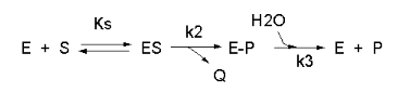 Example_enzyme
