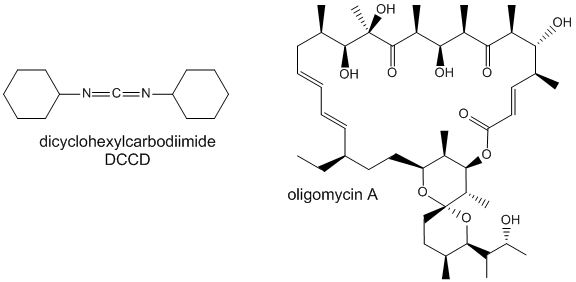 Oligomycin A and DCCD
